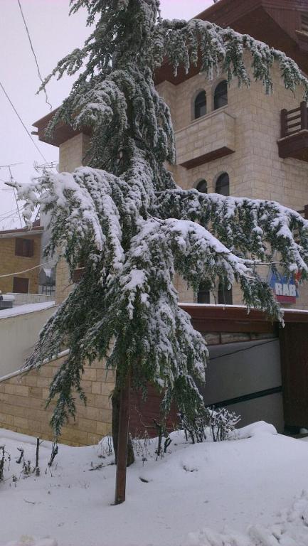 Merab Hotel Mzaar Kfardebian Exterior photo