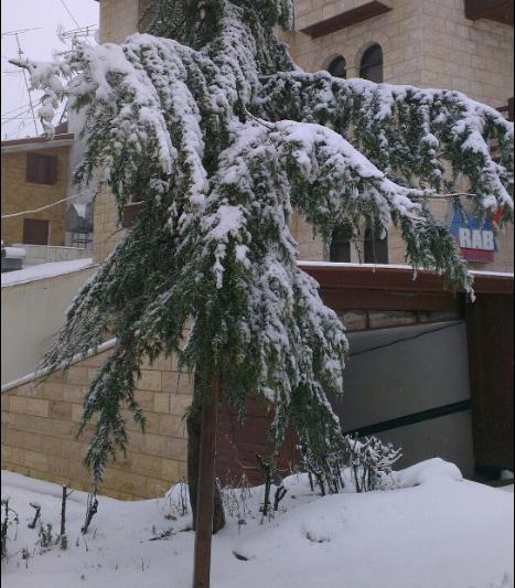 Merab Hotel Mzaar Kfardebian Exterior photo