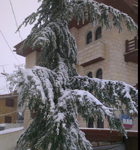 Merab Hotel Mzaar Kfardebian Exterior photo